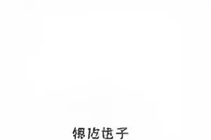 《发布于凌晨的声明》封面,手机通知栏的深夜消息提示